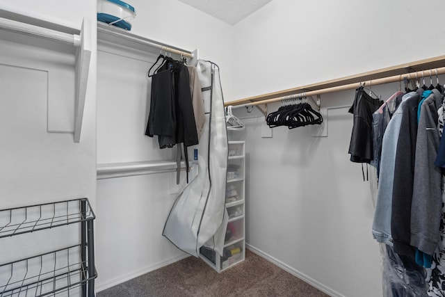 9109 Retablo Rd NW, Albuquerque, NM 87120 - spacious closet featuring carpet
