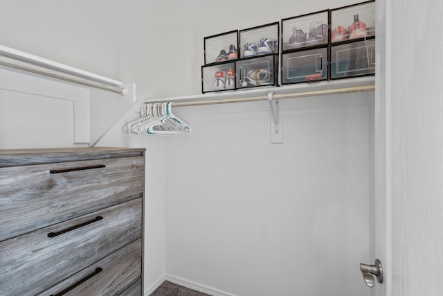 9109 Retablo Rd NW, Albuquerque, NM 87120 - view of walk in closet
