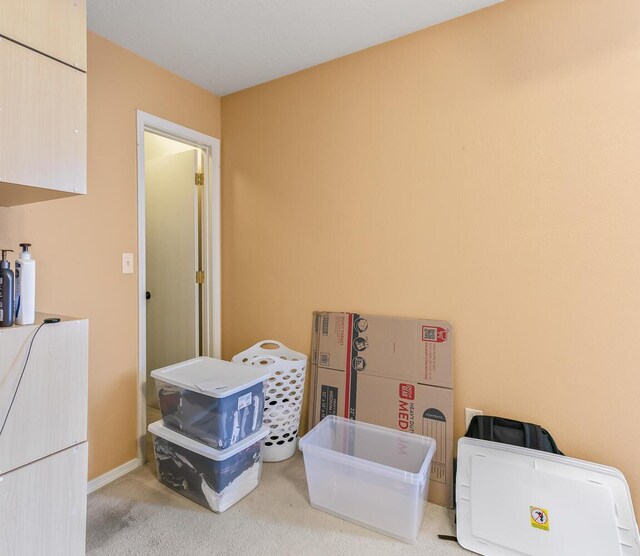 7419 Tolleson Ave NW, Albuquerque, NM 87114 - interior space featuring baseboards, carpet flooring, and laundry area