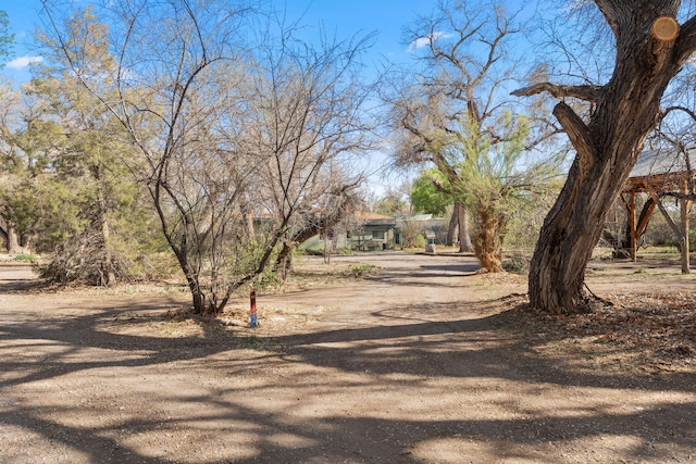 20 Huff Rd, Corrales, NM 87048 - photo 13