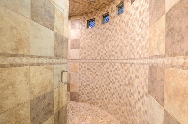 255 Diamond Tail Rd, Placitas, NM 87043 - bathroom featuring a tile shower