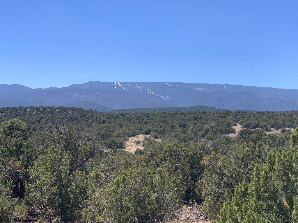 16 Via Entrada, Sandia Park, NM 87047 - photo 1