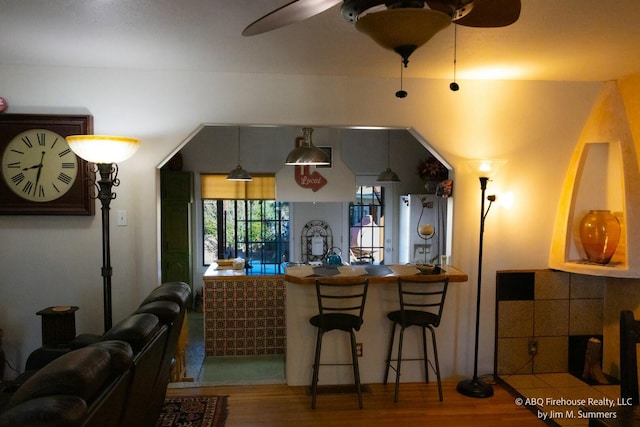 bar featuring wood finished floors and ceiling fan