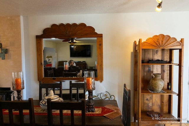 dining space with ceiling fan