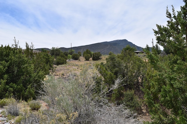 11 La Entrada, Placitas, NM 87043