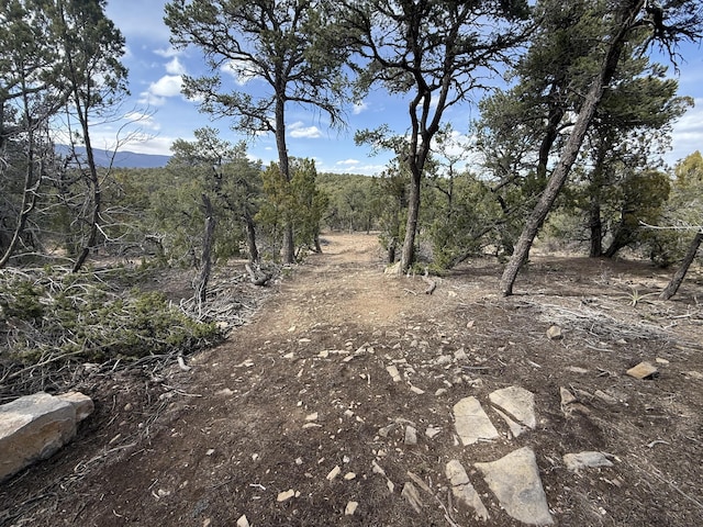 246 Five Hills Dr, Tijeras, NM 87059 - photo 10
