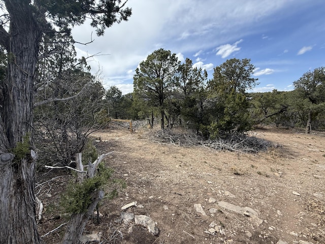 246 Five Hills Dr, Tijeras, NM 87059 - photo 7