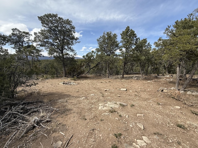 246 Five Hills Dr, Tijeras, NM 87059 - photo 5