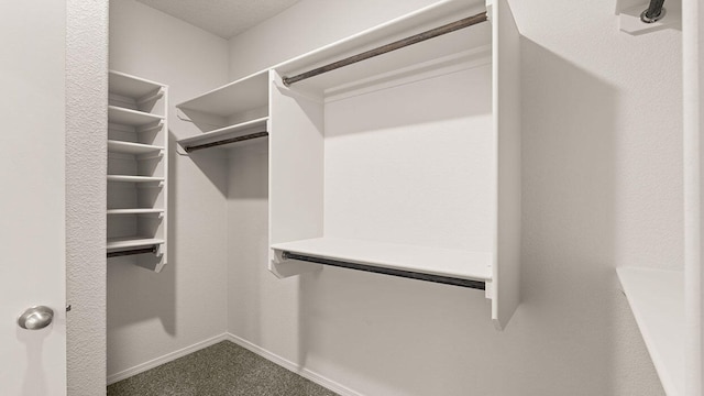 walk in closet with dark colored carpet
