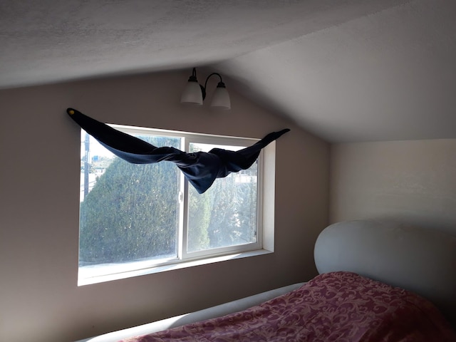 bedroom featuring lofted ceiling and multiple windows