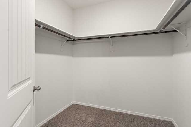 spacious closet with carpet floors