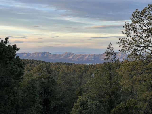 387 County Rd B64, Pecos, NM 87552 - view of mountain background with a forest