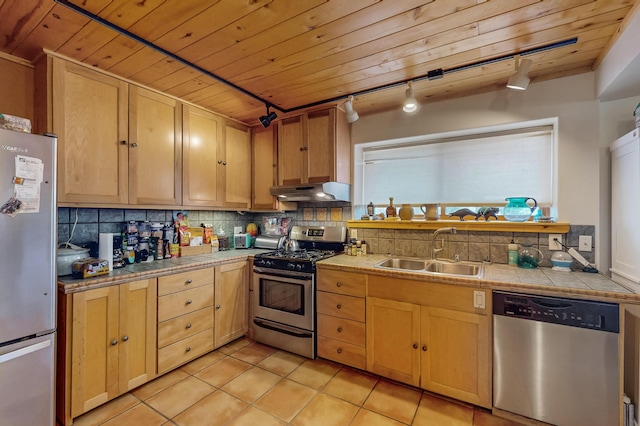 387 County Rd B64, Pecos, NM 87552 - kitchen with stainless steel appliances, a sink, rail lighting, under cabinet range hood, and tile countertops
