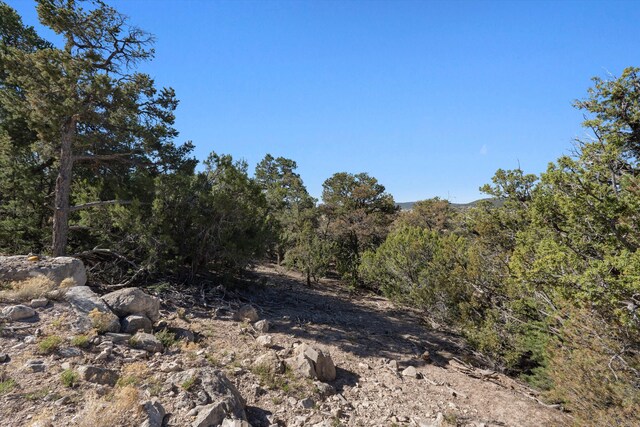 35 Alta Ct, Edgewood, NM 87015 - photo 8