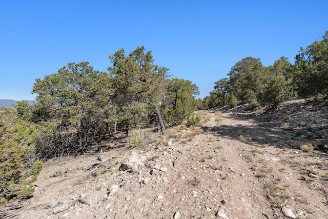 35 Alta Ct, Edgewood, NM 87015 - photo 6