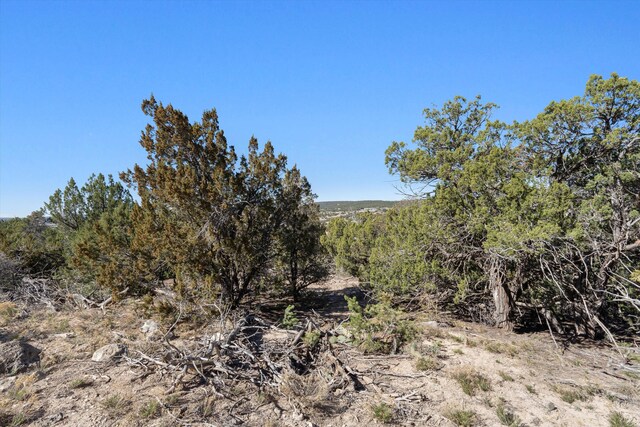 35 Alta Ct, Edgewood, NM 87015 - photo 5