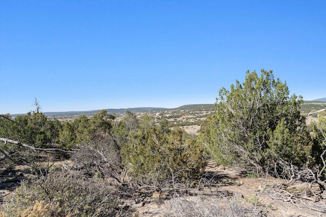 35 Alta Ct, Edgewood, NM 87015 - photo 1