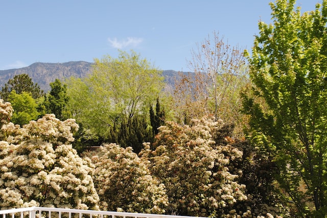 property view of mountains with a wooded view