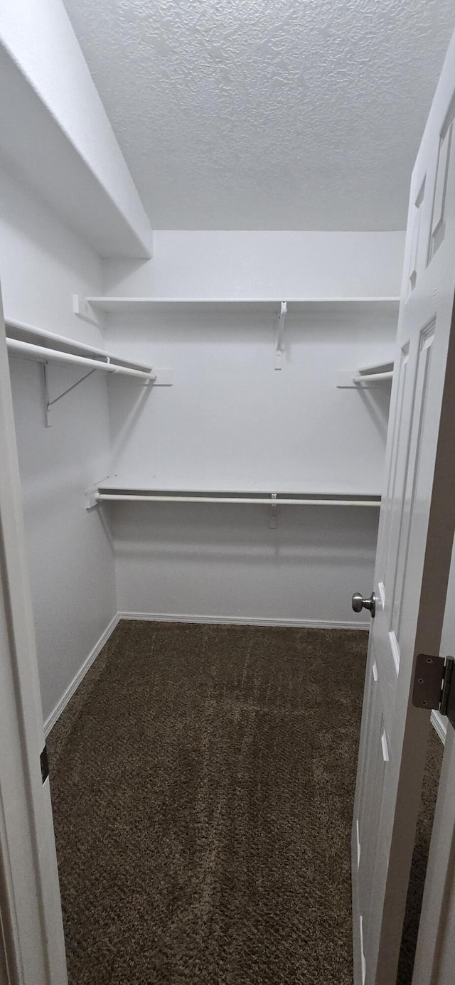 walk in closet featuring carpet floors