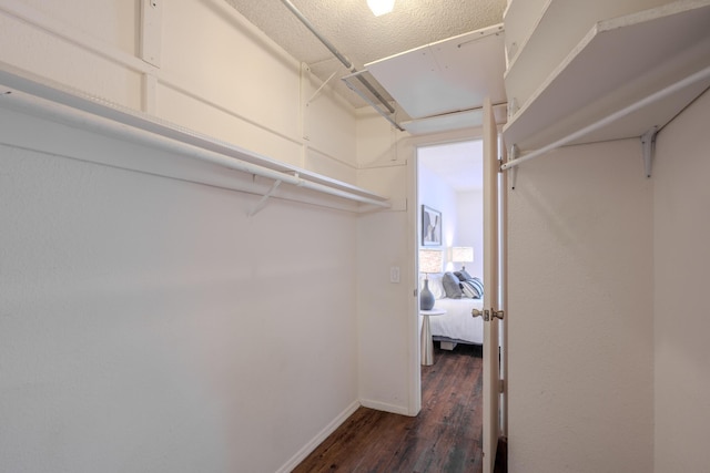 spacious closet with dark wood-style floors