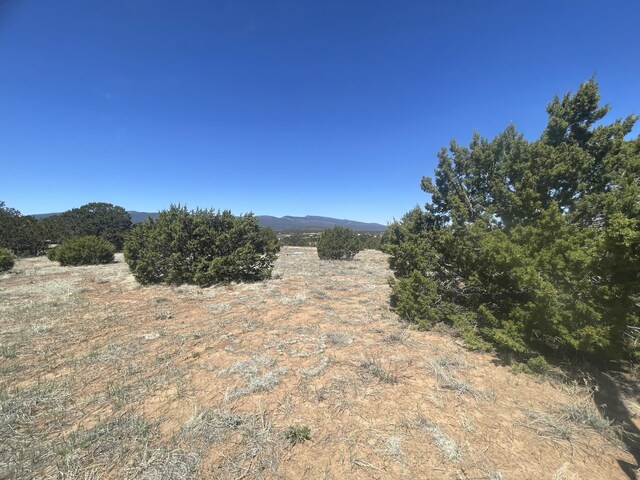 13 Shiba Ln, Tijeras, NM 87059 - photo 6