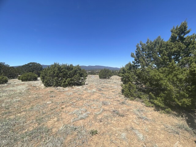 13 Shiba Ln, Tijeras, NM 87059 - photo 7