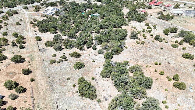 13 Shiba Ln, Tijeras, NM 87059 - photo 11
