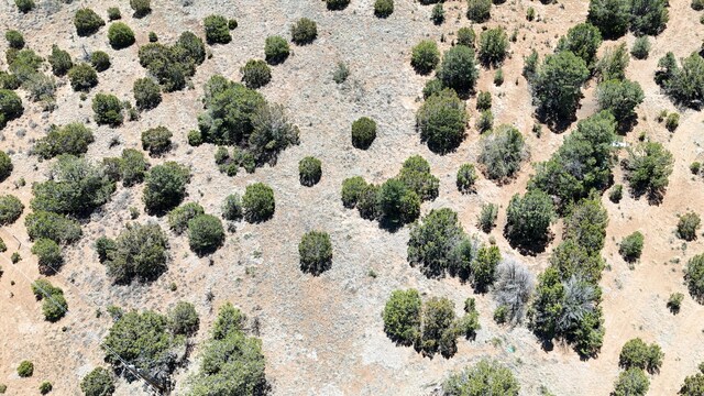 13 Shiba Ln, Tijeras, NM 87059 - photo 14