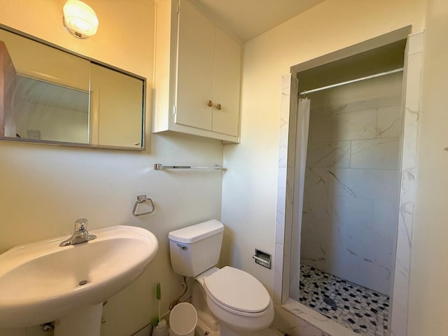 bathroom with toilet, a stall shower, and a sink