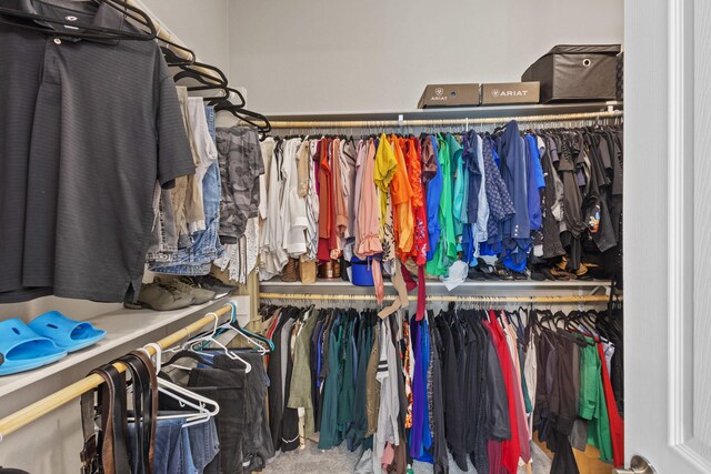 12209 Bear Valley Ln NW, Albuquerque, NM 87120 - view of walk in closet