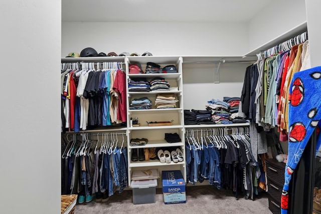 5002 Scope, Rio Rancho, NM 87144 - spacious closet with carpet floors