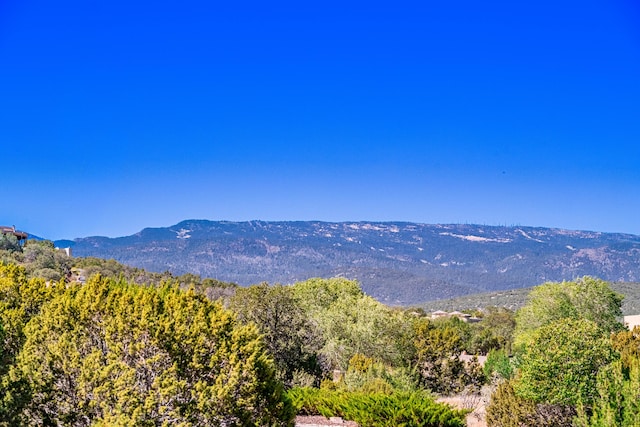 6 Storyteller Ct, Sandia Park, NM 87047 - mountain view