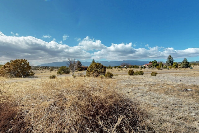 view of local wilderness with a mountain view and a rural view