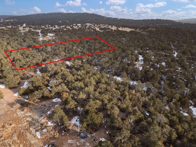 74 Woodland Dr, Tijeras, NM 87059 - photo 1