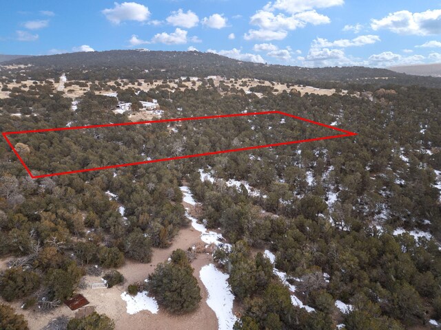 74 Woodland Dr, Tijeras, NM 87059 - photo 3