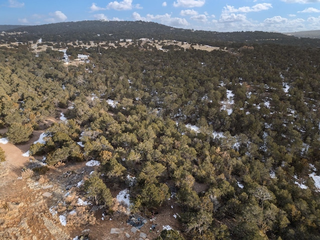 74 Woodland Dr, Tijeras, NM 87059 - photo 5