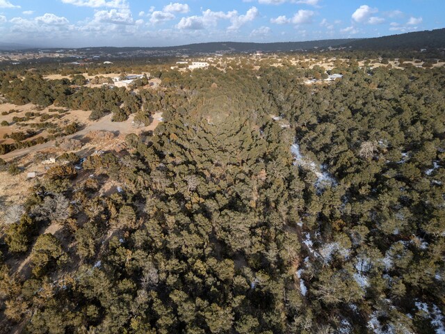 74 Woodland Dr, Tijeras, NM 87059 - photo 6
