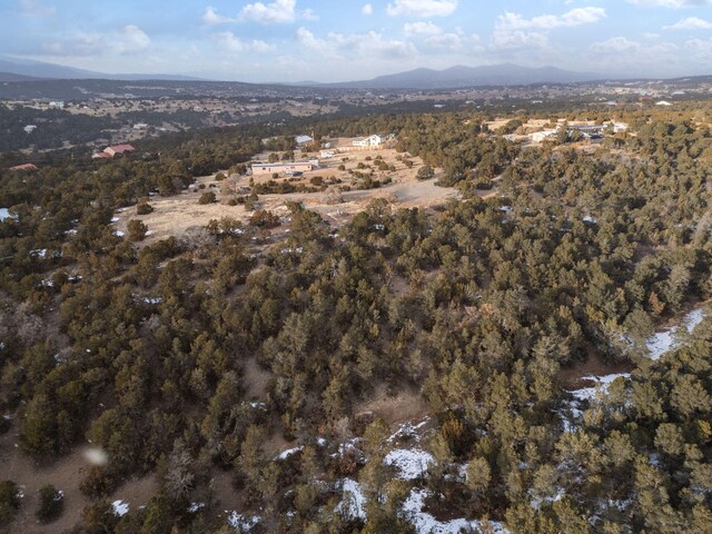 74 Woodland Dr, Tijeras, NM 87059 - photo 7