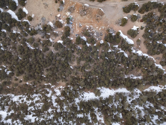 74 Woodland Dr, Tijeras, NM 87059 - photo 10