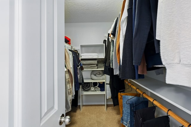 spacious closet with carpet