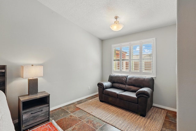 living room featuring baseboards, stone tile flooring, and a textured ceiling