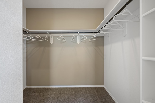 walk in closet featuring carpet flooring