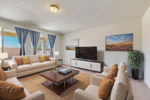8740 Abierto Vista Cir, Albuquerque, NM 87120 - photo 14