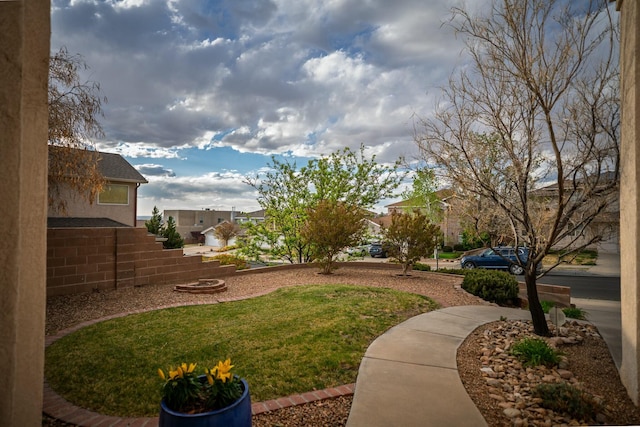view of yard