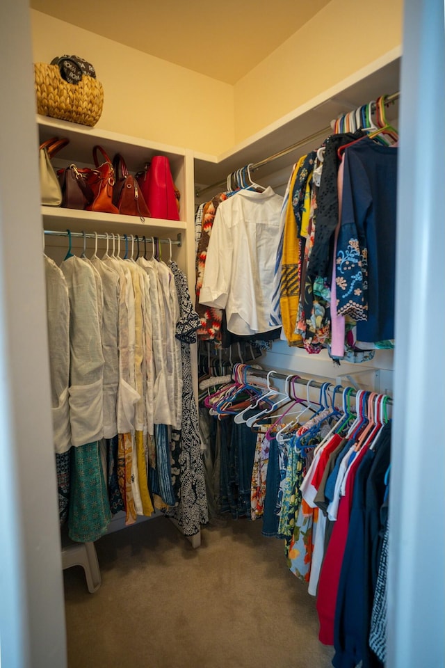 walk in closet featuring carpet floors