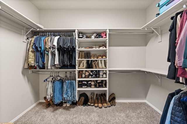 spacious closet with carpet flooring
