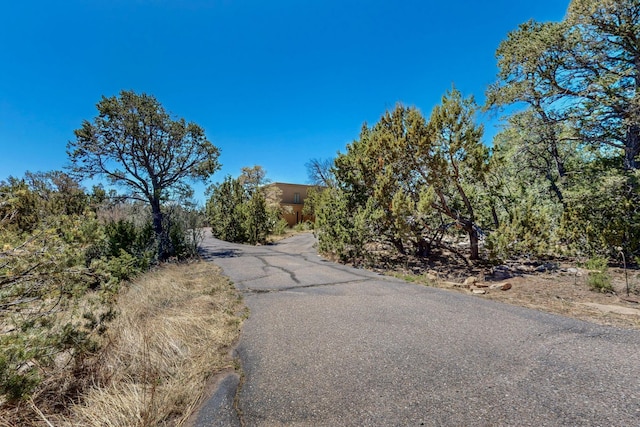 19 High Country Dr, Cedar Crest, NM 87008 - photo 64