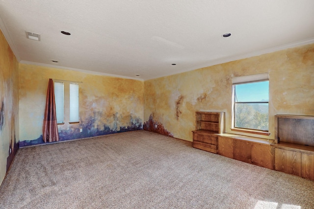 carpeted spare room featuring ornamental molding