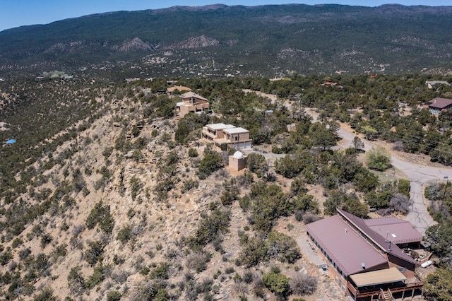 19 High Country Dr, Cedar Crest, NM 87008 - photo 40