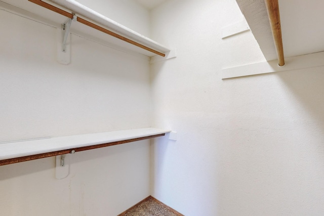 walk in closet featuring carpet
